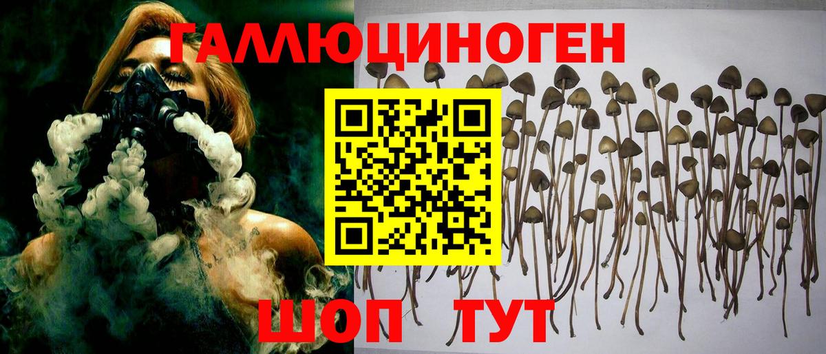 продажа наркотиков  Псилоцибиновые грибы мицелий  Вход с VPN  Богданович 