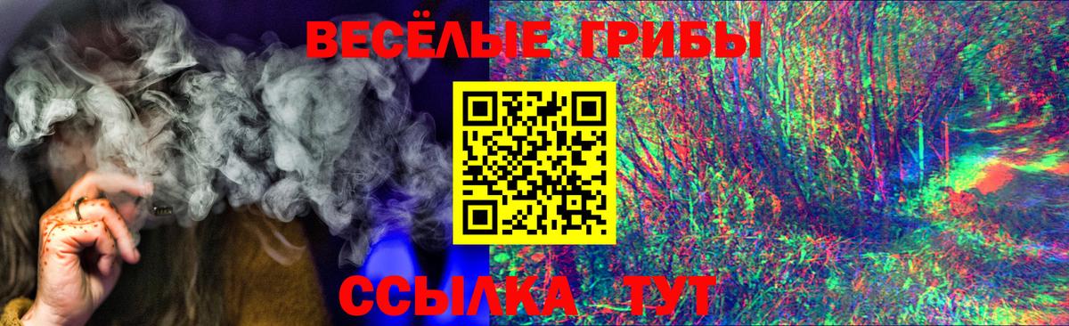 Галлюциногенные грибы Cubensis Богданович