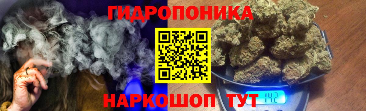 Каннабис планчик Богданович